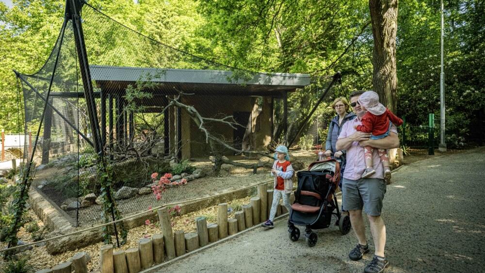 Zoo, foto: Artur Irma